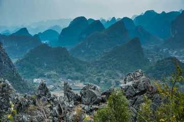英语单词tree什么意思
