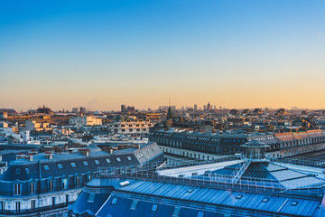 scientist英语怎么读