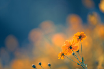 预防溺水安全知识宣传语合集