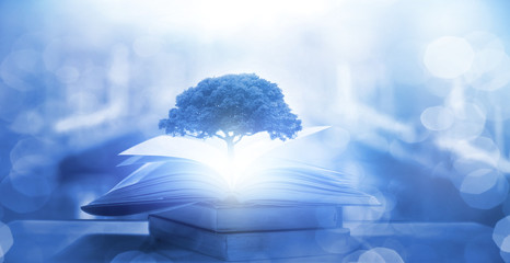 100句英语句子（谚语和名言一共一百句）<带中文翻译>