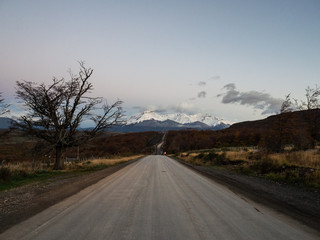 scientist英语怎么读