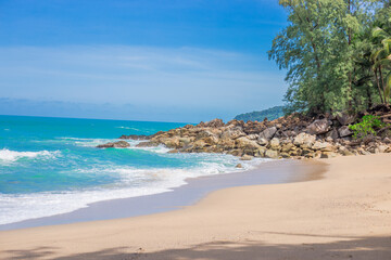 scientist英语怎么读