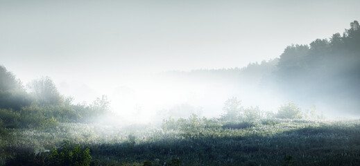 体育与健康的基础知识20个