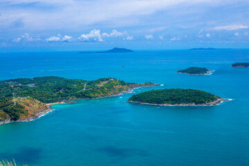 英语单词tree什么意思