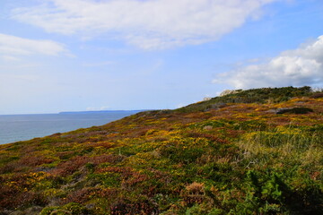 你爱的不是我,你心里还藏着谁,你爱的不是我,是否是我错了,是什么歌里的？