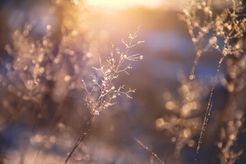 心理健康知识科普手抄报
