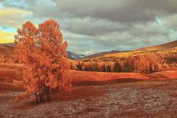 中国最著名的十大书籍