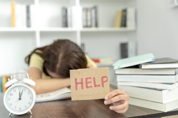 医疗行业有哪些项目