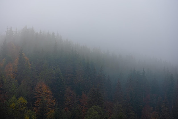 你爱的不是我,你心里还藏着谁,你爱的不是我,是否是我错了,是什么歌里的？