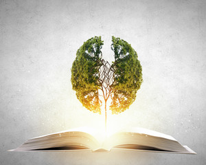 医疗行业有哪些项目