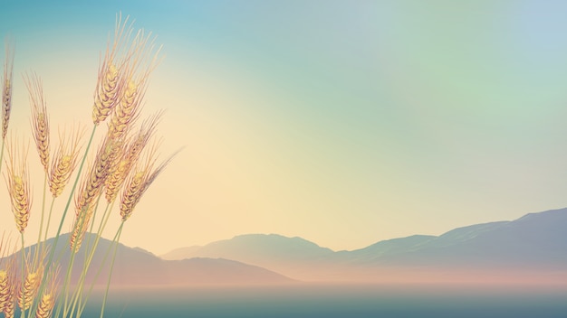 心理健康知识科普手抄报