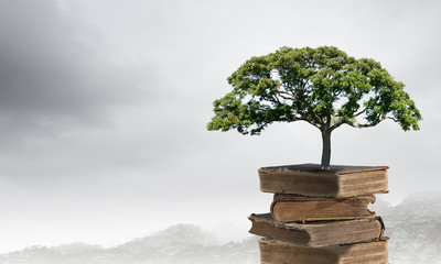 体育与健康的基础知识20个