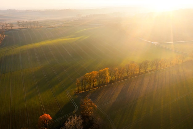 中国从古至今有多少个朝代-