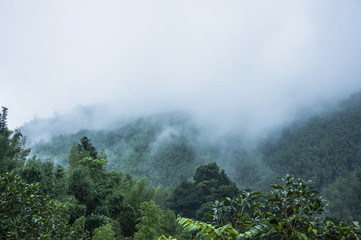 中国从古至今有多少个朝代-